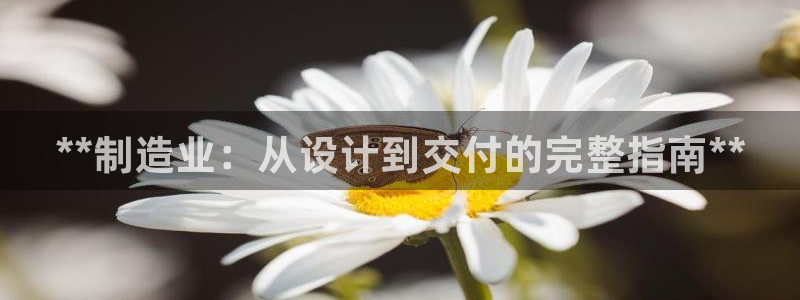 彩神正规吗:**制造业:从设计到交付的完整指南** 彩神正规吗:**制造业:从设计到交付的完整指南**